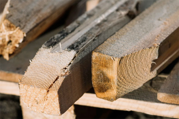 Rénovation de charpente bois dans le Maine-et-Loire (49)